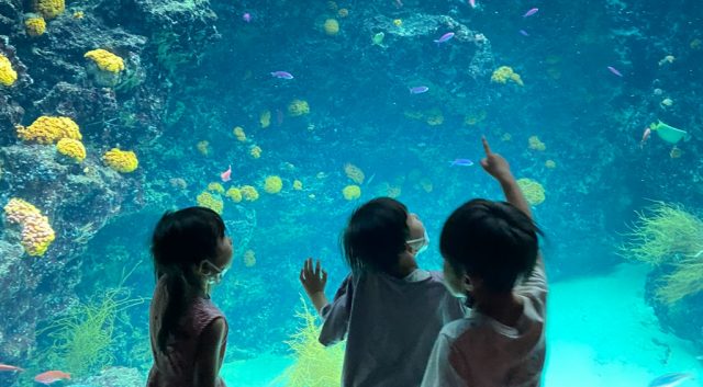 【ロケーション撮影のすすめ】👘👙この夏行きたい！思い出×写真のベストな残し方🏊‍♀️