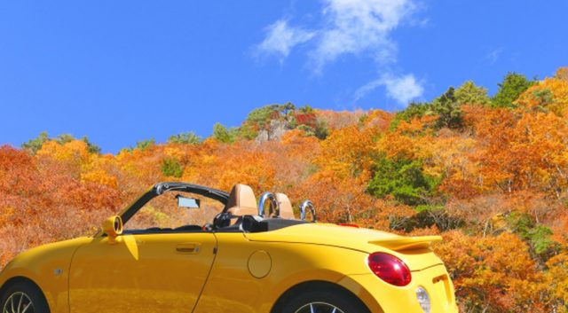 🍁秋のドライブお出かけガイド🚙グランフォト小野写真館周辺